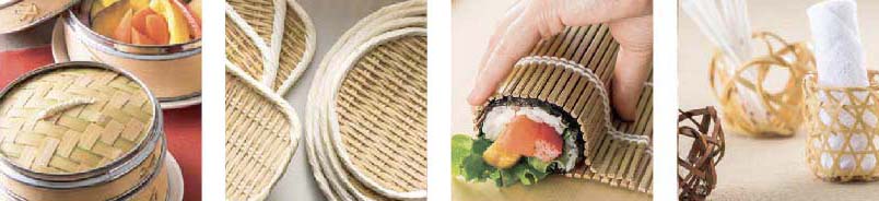 TAKENOSEI－カタログ写真