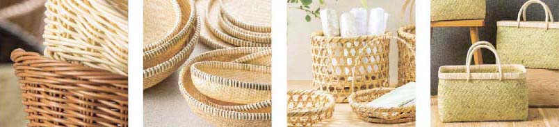 TAKENOSEI－カタログ写真