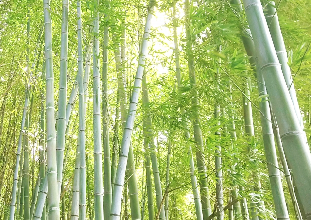 スライドの代替テキスト